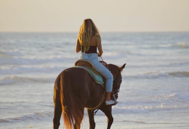 featured-image