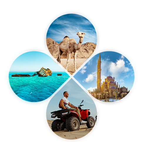 sharm trips